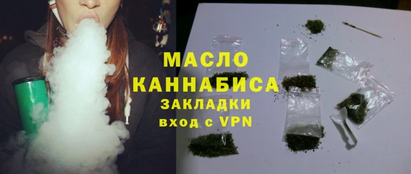 тгк Абаза