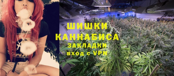 тгк Абаза