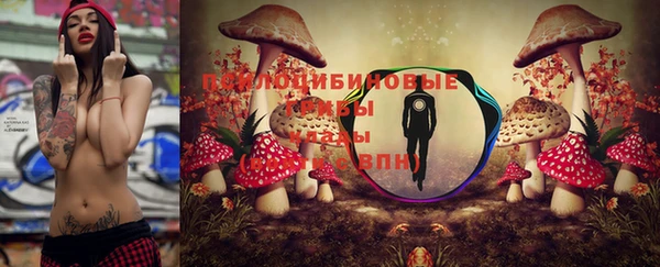 молекула духа Алексин